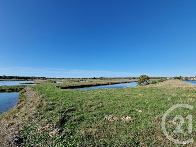 terrain - L ILE D OLONNE - 85