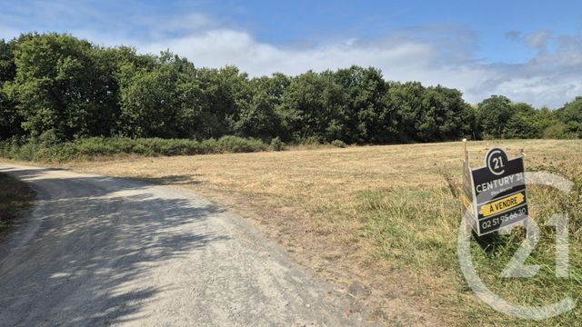 Terrain à vendre - 3321 m2 - Olonne Sur Mer - 85 - PAYS-DE-LOIRE