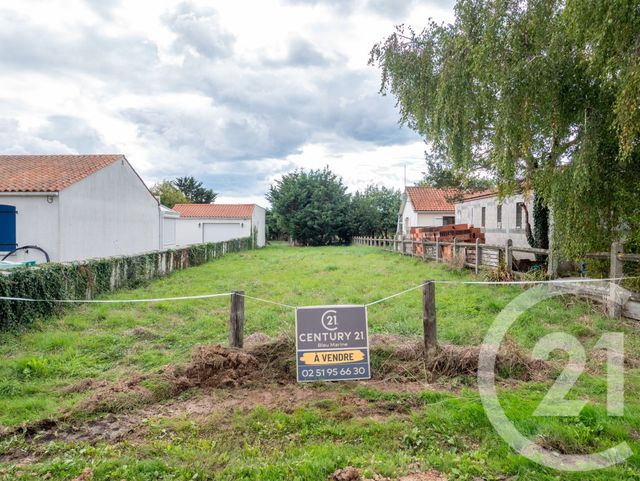 terrain - L ILE D OLONNE - 85