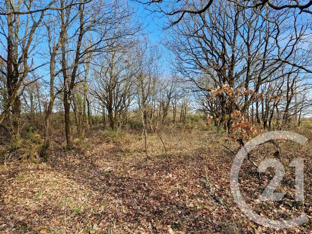 Terrain à vendre - 7711 m2 - L Ile D Olonne - 85 - PAYS-DE-LOIRE