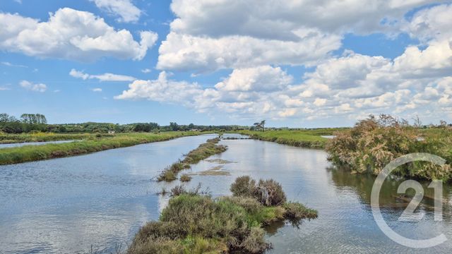 Terrain à vendre - 12025 m2 - L Ile D Olonne - 85 - PAYS-DE-LOIRE