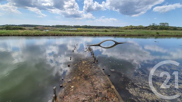 Terrain à vendre - 12025 m2 - L Ile D Olonne - 85 - PAYS-DE-LOIRE