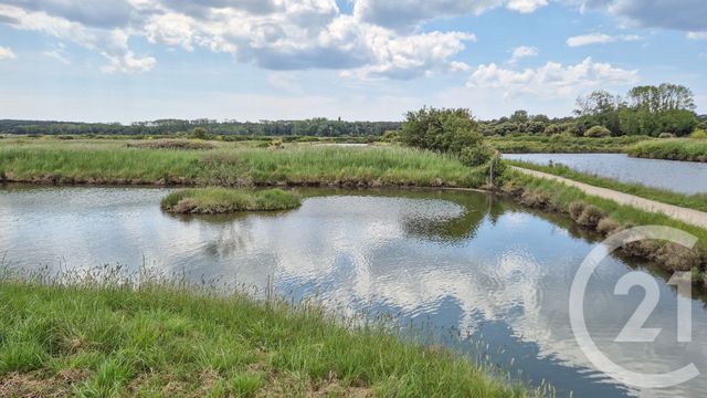 Terrain à vendre - 12025 m2 - L Ile D Olonne - 85 - PAYS-DE-LOIRE