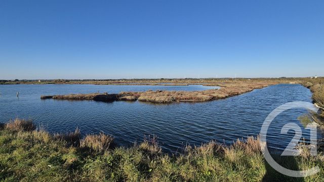 Terrain à vendre - 39590 m2 - Olonne Sur Mer - 85 - PAYS-DE-LOIRE