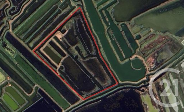 Terrain à vendre - 39590 m2 - Olonne Sur Mer - 85 - PAYS-DE-LOIRE