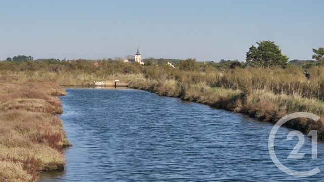 Terrain à vendre - 39590 m2 - Olonne Sur Mer - 85 - PAYS-DE-LOIRE