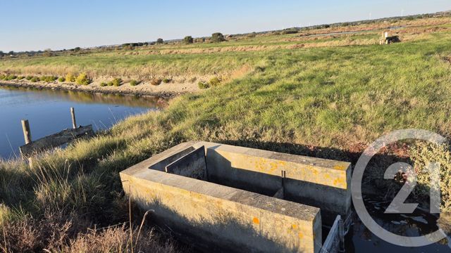 Terrain à vendre - 39590 m2 - Olonne Sur Mer - 85 - PAYS-DE-LOIRE