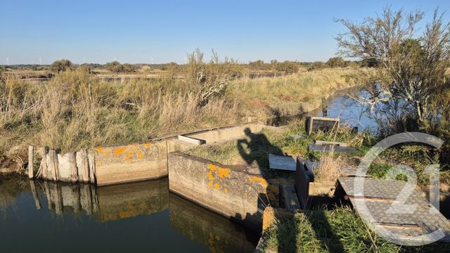 Terrain à vendre - 39590 m2 - Olonne Sur Mer - 85 - PAYS-DE-LOIRE