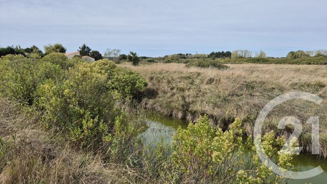 Terrain à vendre - 39590 m2 - Olonne Sur Mer - 85 - PAYS-DE-LOIRE