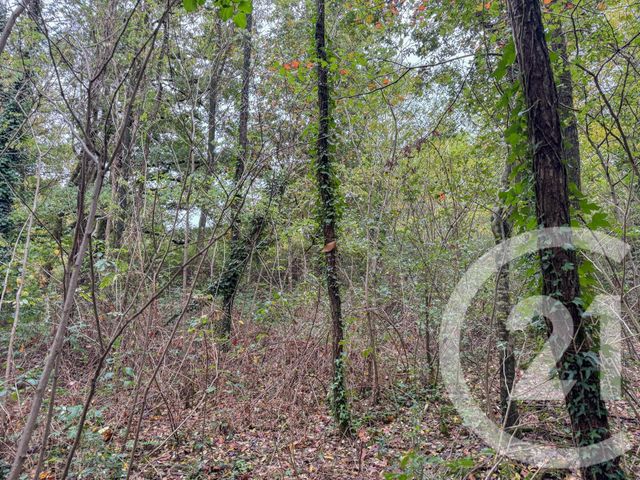 Terrain à vendre - 2600 m2 - St Mathurin - 85 - PAYS-DE-LOIRE