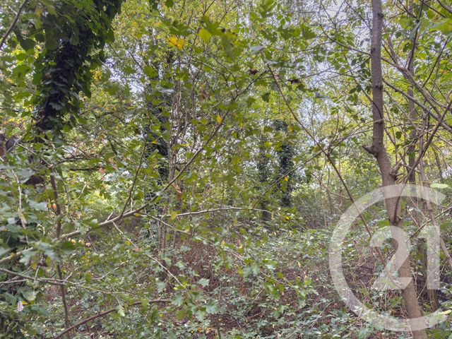 Terrain à vendre ST MATHURIN