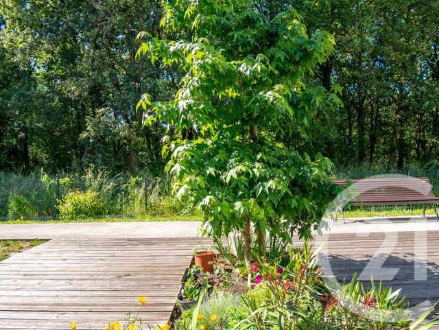 Appartement T2 &agrave; vendre - 2 pi&egrave;ces - 40,39 m2 - Olonne Sur Mer - 85 - PAYS-DE-LOIRE