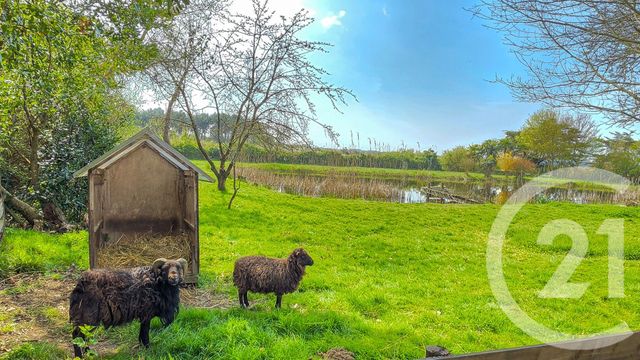 Maison &agrave; vendre - 6 pi&egrave;ces - 139,18 m2 - L Ile D Olonne - 85 - PAYS-DE-LOIRE