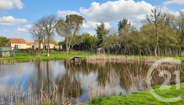 Maison à vendre L ILE D OLONNE