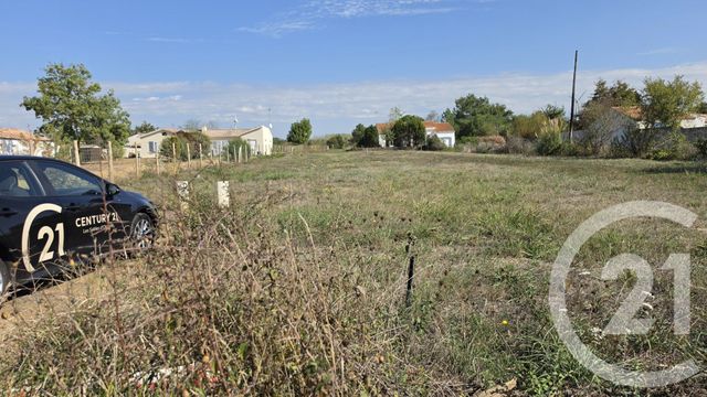 terrain - L ILE D OLONNE - 85