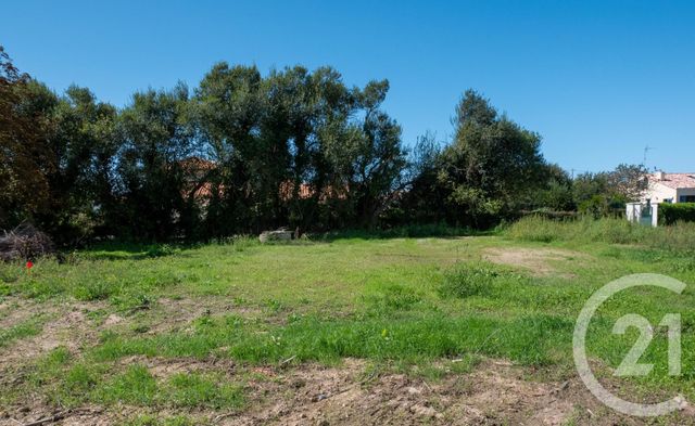 Terrain à vendre - 506 m2 - Bretignolles Sur Mer - 85 - PAYS-DE-LOIRE