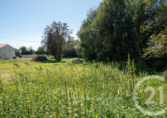 Terrain à vendre - 506 m2 - Bretignolles Sur Mer - 85 - PAYS-DE-LOIRE