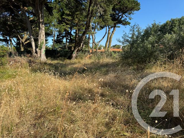 terrain - BRETIGNOLLES SUR MER - 85