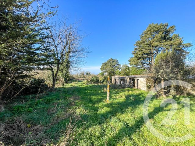 Afficher la photo en grand Maison à vendre - 5 pièces - 162,98 m2 - Vaire - 85 - PAYS-DE-LOIRE