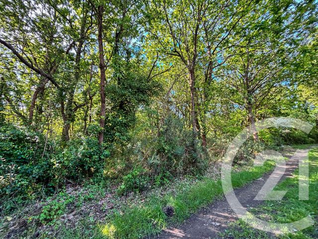Terrain &agrave; vendre - 1115 m2 - Olonne Sur Mer - 85 - PAYS-DE-LOIRE
