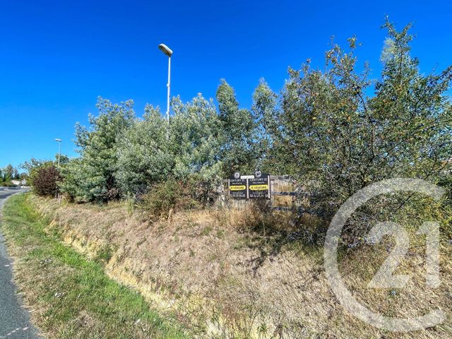 Terrain à vendre L ILE D OLONNE