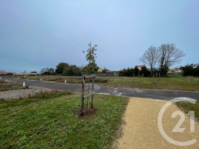 Terrain &agrave; vendre - 417 m2 - Olonne Sur Mer - 85 - PAYS-DE-LOIRE