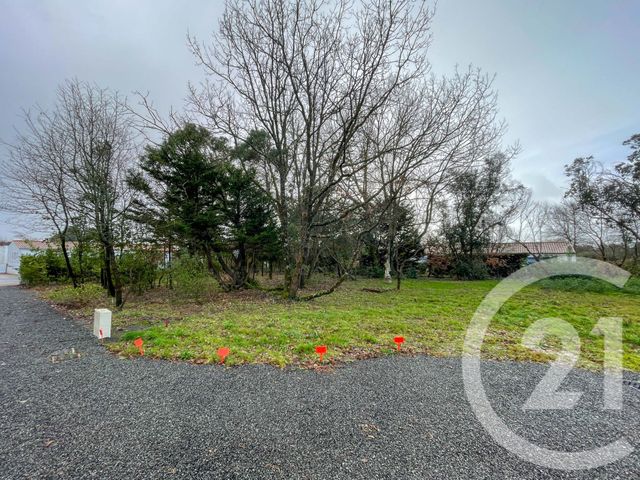 Terrain &agrave; vendre - 732 m2 - Chateau D Olonne - 85 - PAYS-DE-LOIRE