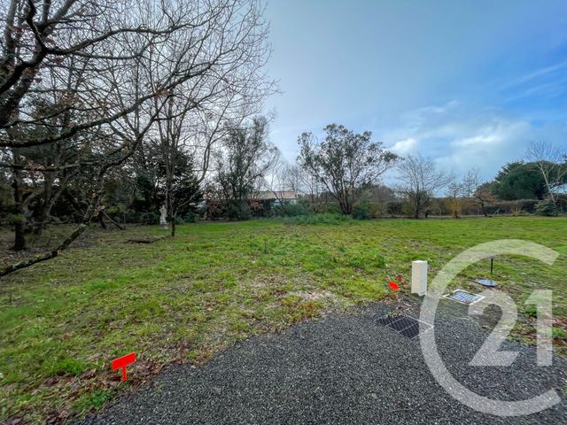 Terrain &agrave; vendre - 1424 m2 - Chateau D Olonne - 85 - PAYS-DE-LOIRE