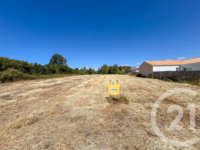 Terrain &agrave; vendre - 3649 m2 - Olonne Sur Mer - 85 - PAYS-DE-LOIRE