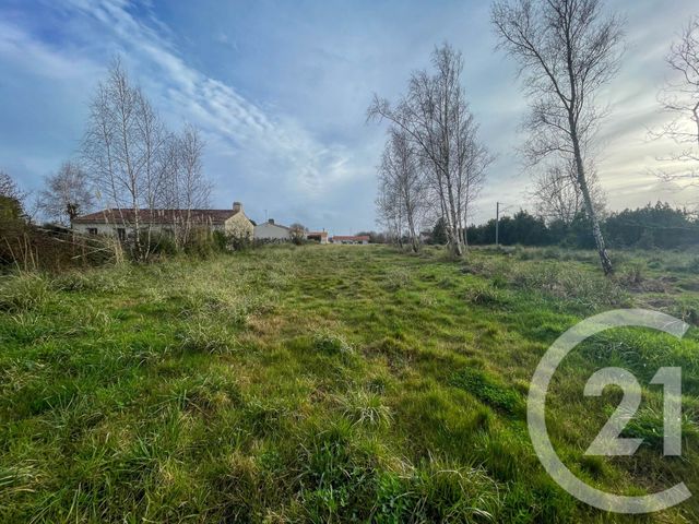 Terrain &agrave; vendre - 3649 m2 - Olonne Sur Mer - 85 - PAYS-DE-LOIRE