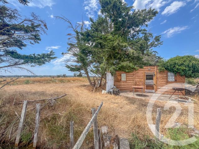 Terrain &agrave; vendre - 13290 m2 - L Ile D Olonne - 85 - PAYS-DE-LOIRE