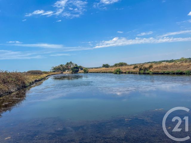 Terrain &agrave; vendre - 13290 m2 - L Ile D Olonne - 85 - PAYS-DE-LOIRE