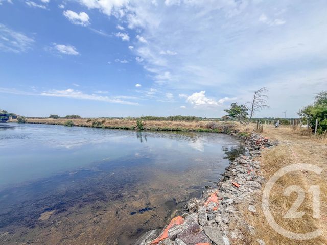 Terrain &agrave; vendre - 13290 m2 - L Ile D Olonne - 85 - PAYS-DE-LOIRE