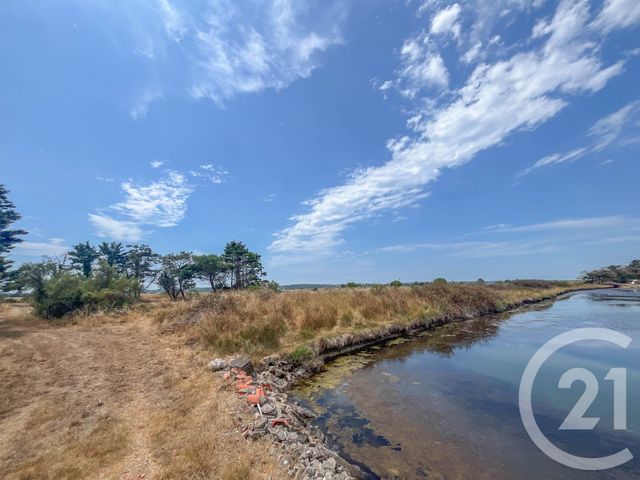 Terrain &agrave; vendre - 13290 m2 - L Ile D Olonne - 85 - PAYS-DE-LOIRE