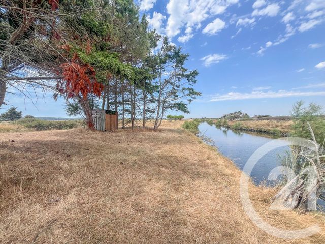 terrain - L ILE D OLONNE - 85