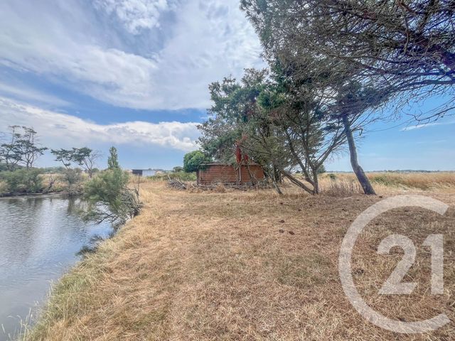 Terrain &agrave; vendre - 13290 m2 - L Ile D Olonne - 85 - PAYS-DE-LOIRE