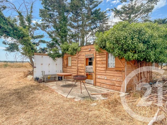 Terrain &agrave; vendre - 13290 m2 - L Ile D Olonne - 85 - PAYS-DE-LOIRE
