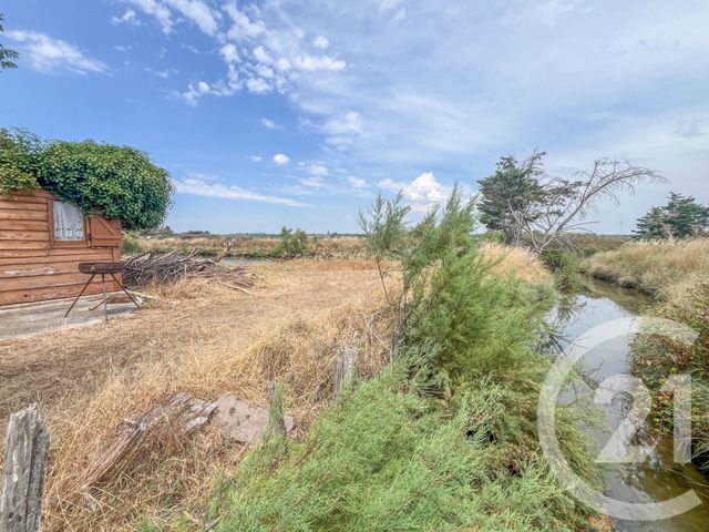 Terrain &agrave; vendre - 13290 m2 - L Ile D Olonne - 85 - PAYS-DE-LOIRE