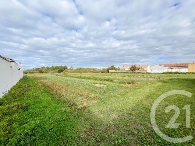terrain - OLONNE SUR MER - 85