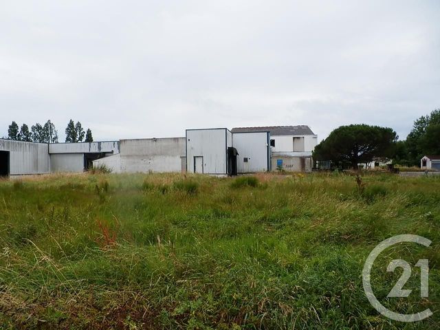 Commerce &agrave; vendre - 10350 m2 - 85 - PAYS-DE-LOIRE