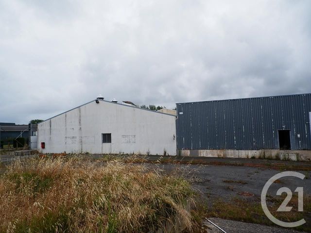 Commerce &agrave; vendre - 10350 m2 - 85 - PAYS-DE-LOIRE